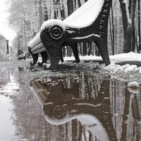 Ася