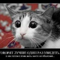 юля