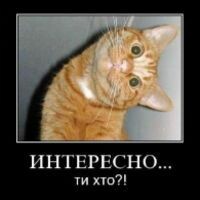 КроКОзяБРА МУРлаКОТамовна