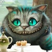 Новак Анна