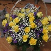 Екатерина