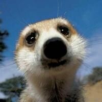 Лара