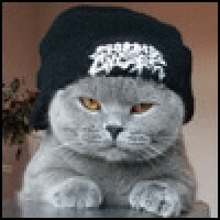 Олюсик.ру