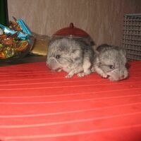 Наталья