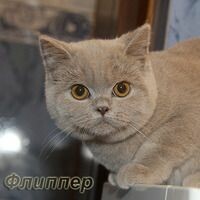 Бронникова Ирина