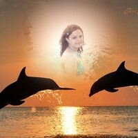 соколова светлана