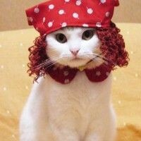 КискаМаруська