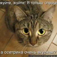 ✿Оника✿