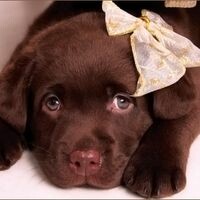 Костина Ольга