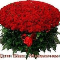 Нюрка