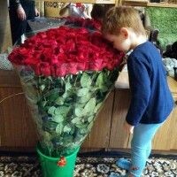 МамаМаксимки