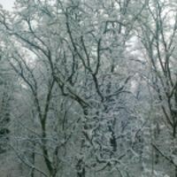 Наталья