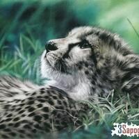 Пони Марина