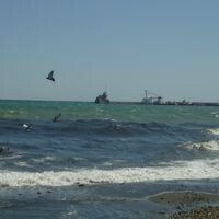таня