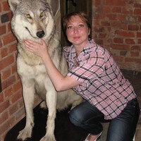 елена кравченко