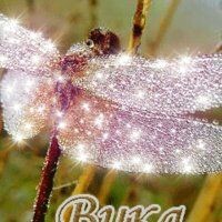 Вика