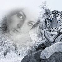 Светлана Романова