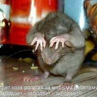 Наталья