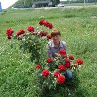 Ольга Буренина