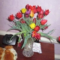 ОЛЬГА