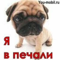 Мельникова Елена