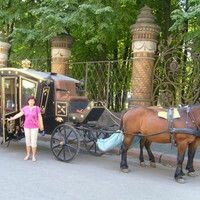 зелинская елена