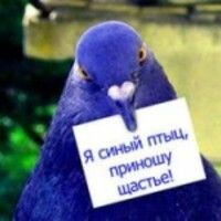 Ольга