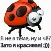 ᴥᴥᴥSλastёϞaᴥᴥᴥ