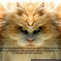 Антошина