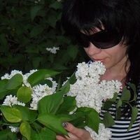 Елена Будникова