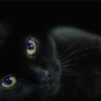 Ina