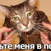 ЖенаДипломата