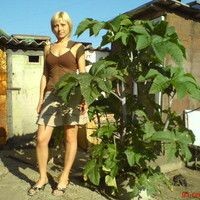 Стрижакова Елена