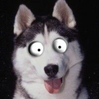 СовсемНемножкоЧокнутая