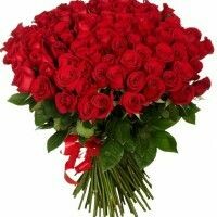 Юлия Казанцева