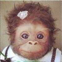 Даниела