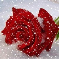 ♥♥Яна♥♥