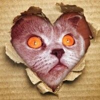 Юлия