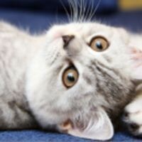 Оксана