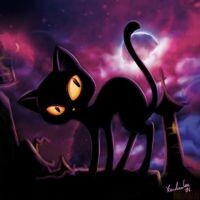 BlackKat