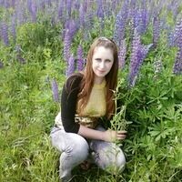 Нелли