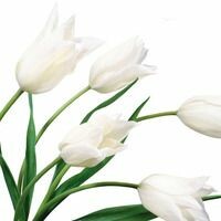 Счатливая
