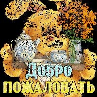 НАРИША оооооооо
