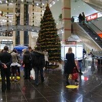 Сурина Каролина