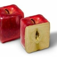 APPLE SQUARE