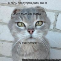мария