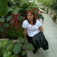 байбородина света