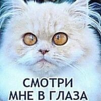 Никишин Андрей
