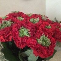 Наталья