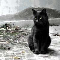 АленКа